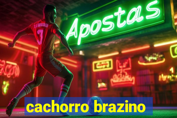 cachorro brazino